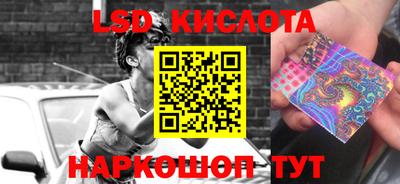 стаф Кандалакша