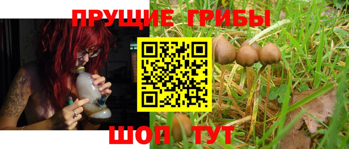 где купить   Галлюциногенные грибы Cubensis  Вход с VPN  Каспийск  Псилоцибиновые грибы MAGIC MUSHROOMS 