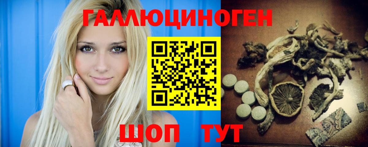 Галлюциногенные грибы Cubensis Каспийск